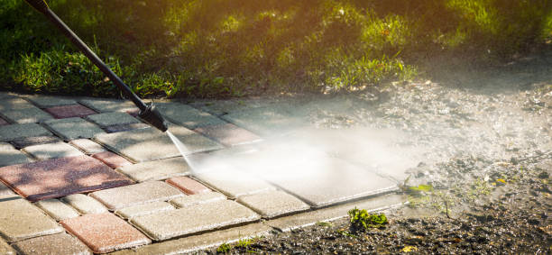 Best Animal Enclosure Cleaning  in Ogdensburg, NJ